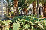 Parque Tropical