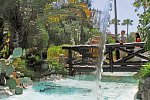Parque Tropical
