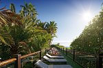 Parque Tropical