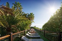 Parque Tropical