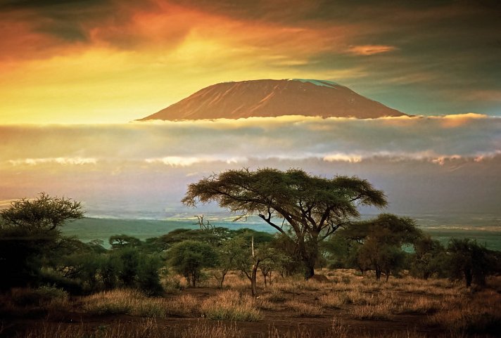 Abenteuer Busch - Amboseli Nationalpark