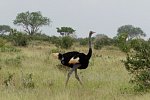 Tsavo Abenteuer