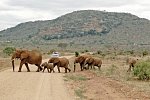 Tsavo Abenteuer