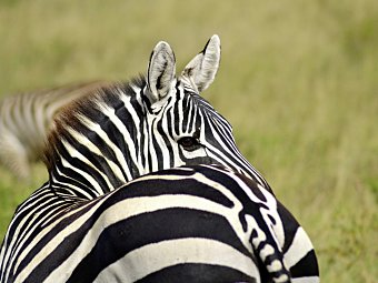 Tsavo Abenteuer