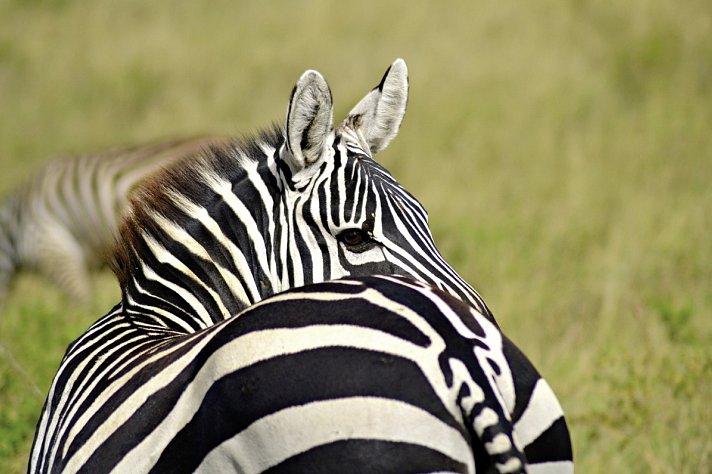 Tsavo Abenteuer