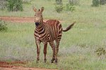 Tsavo Abenteuer