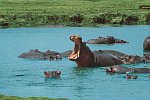 Tsavo Abenteuer