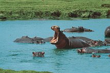 Tsavo Abenteuer