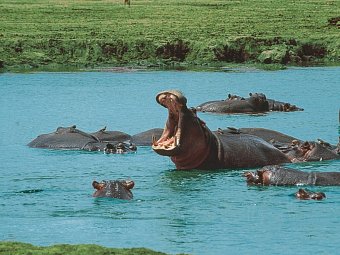 Tsavo Abenteuer