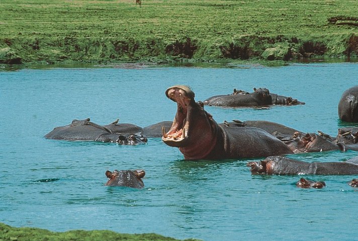 Tsavo Abenteuer
