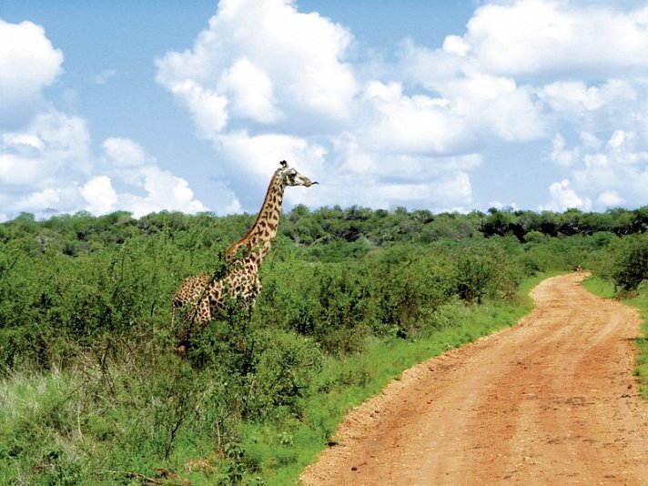 Tsavo Abenteuer