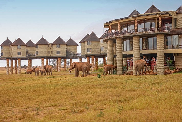 Tierische Familienzeit - Saltlick Safari Lodge