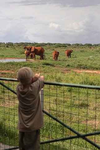 Tierische Familienzeit - Saltlick Safari Lodge