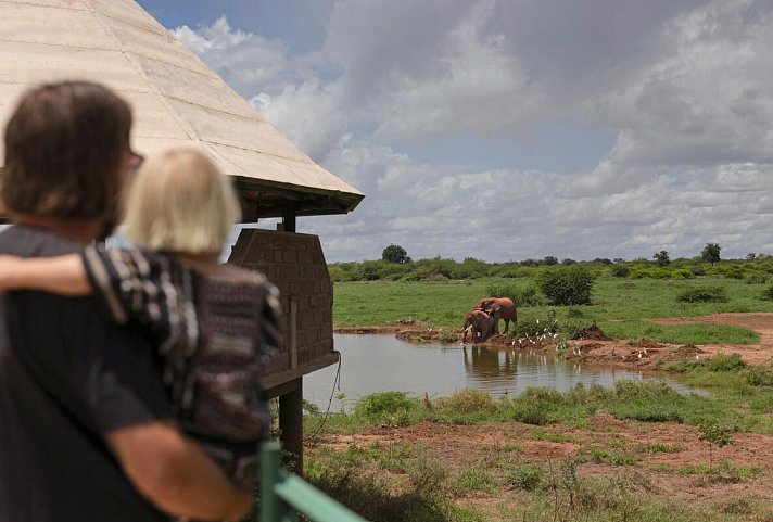 Tierische Familienzeit - Saltlick Safari Lodge