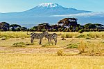 Kenia Allround
