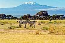 Kenia Allround