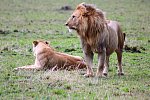 Kenia Allround