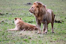Kenia Allround