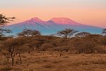 Kenia Allround