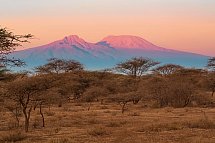 Kenia Allround - Kilimanjaro