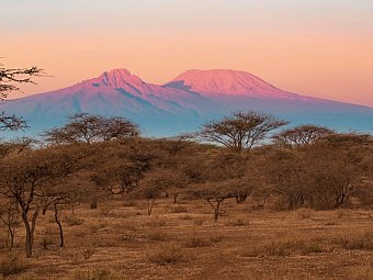 Kenia Allround - Kilimanjaro