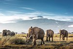 Kenia Allround