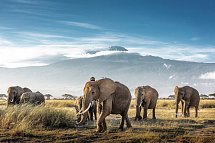 Kenia Allround