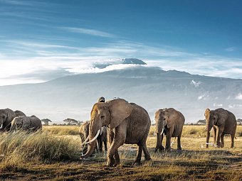 Kenia Allround