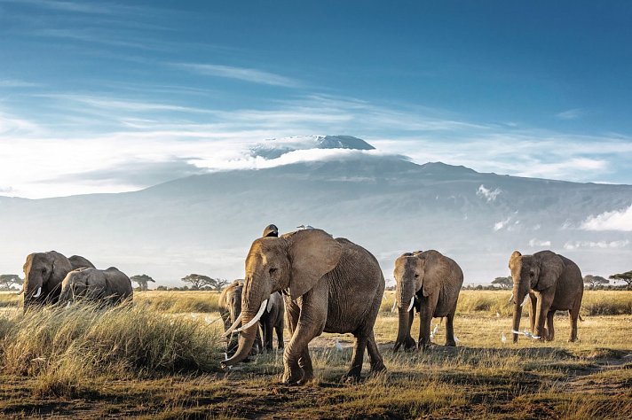 Kenia Allround