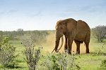 Kenia Allround