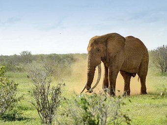 Kenia Allround
