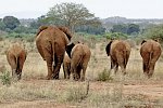 Kenia Allround