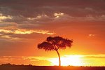 Kenia Allround