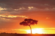 Kenia Allround