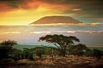 Kenia Allround