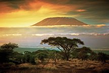 Kenia Allround - Amboseli Nationalpark