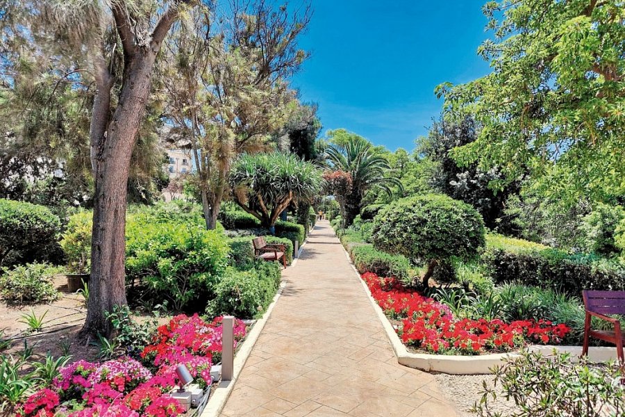 The Phoenicia Hotel