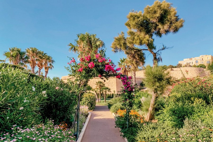 The Phoenicia Hotel