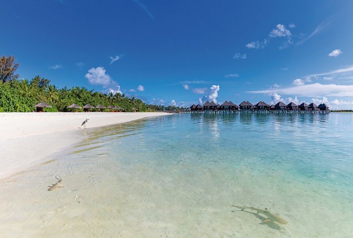 Sun Siyam Olhuveli Maldives