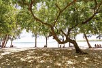 Veranda Tamarin