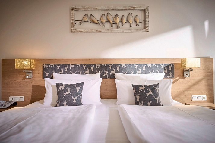 Ströbinger Hof - Therme Wellness Resort - Wohnbeispiel Doppelzimmer Schloßsee (Zimmercodierung DF1)