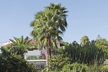 Park Hotel Terme Mediterraneo