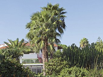 Park Hotel Terme Mediterraneo