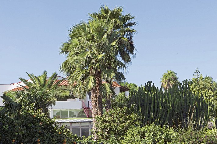 Park Hotel Terme Mediterraneo