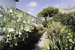 Park Hotel Terme Mediterraneo