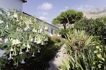 Park Hotel Terme Mediterraneo