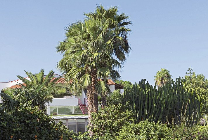 Park Hotel Terme Mediterraneo