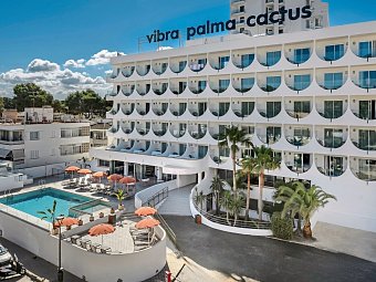 Vibra Palma Cactus