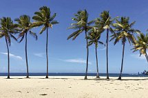 Emotions by Hodelpa Puerto Plata