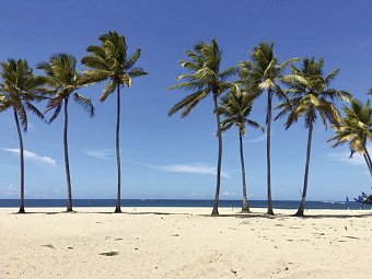 Emotions by Hodelpa Puerto Plata